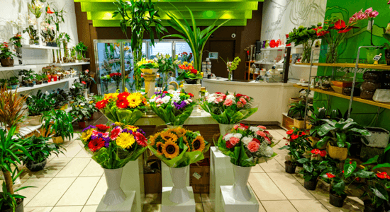 Florist Insurance